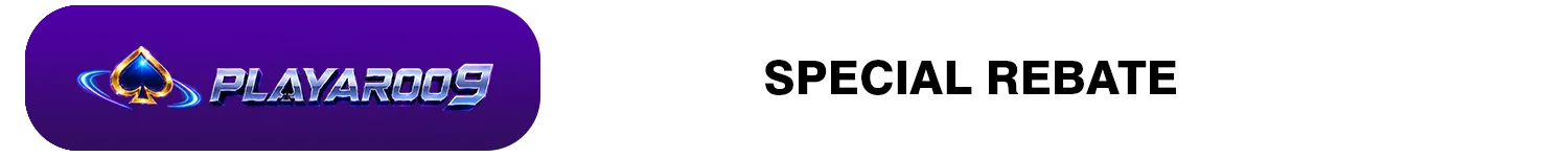 H-SPECIAL REBATE