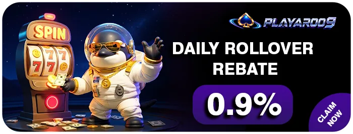 DAILY ROLLOVER REBATE